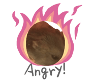 854414378