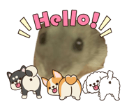 854414383