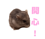 854414399