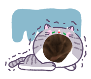 854414491