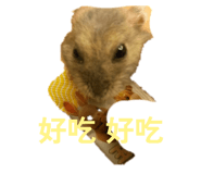 854414501