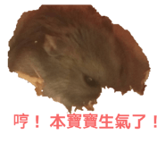 854414502