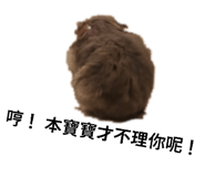 854414504