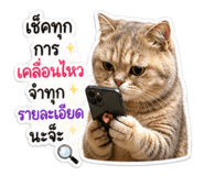 854417466