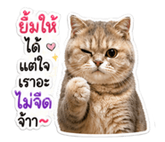 854417471