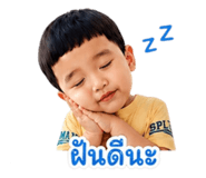 854422731