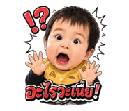854424017