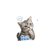 854426014