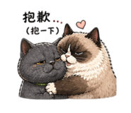 854427927