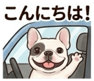 854429097