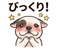 854429105