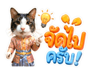 854429606