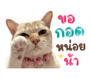 854430871