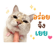 854430873