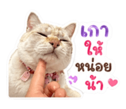 854430876