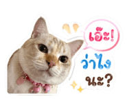 854430877