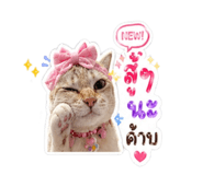 854430880