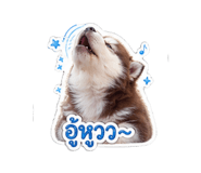 854433959