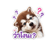 854433960