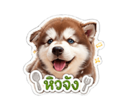 854433962