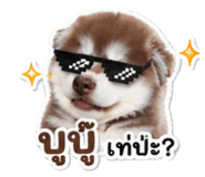854433964