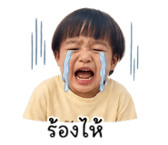 854434319