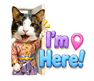 854434424