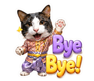 854434428