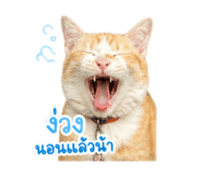 854436350