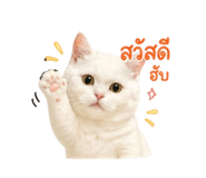 854437121