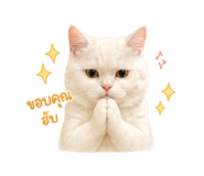 854437123