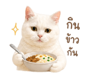 854437132