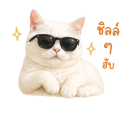 854437134