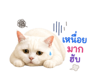 854437135
