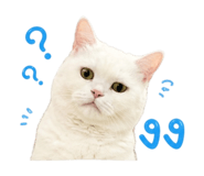 854437141