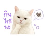 854437142