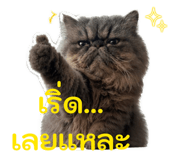 854437762
