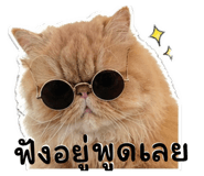 854437783