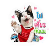 854438090