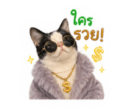 854438094