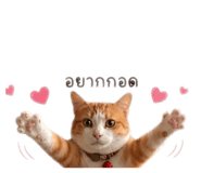 854439950
