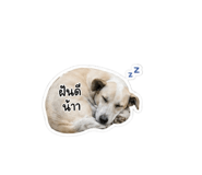 854441317