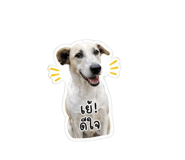 854441319