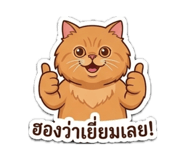 854441602