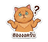 854441605