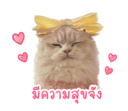 854443890