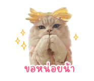 854443898