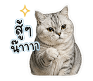 854444121