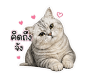 854444135