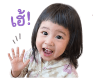 854444801